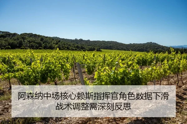 a-sen-na-zhong-chang-he-xin-lai-si-zhi-hui-guan-jue-se-shu-ju-xia-hua-zhan-shu-tiao-zheng-xu-shen-ke-fan-si-2-939.jpg