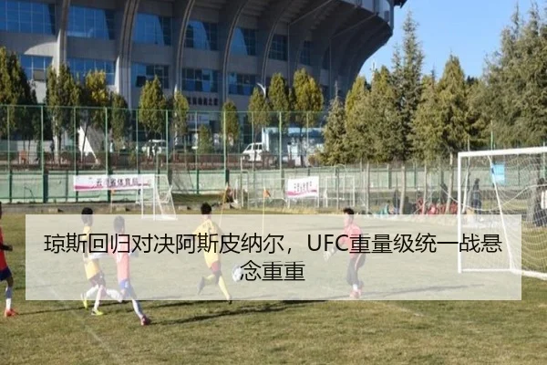 琼斯回归对决阿斯皮纳尔，UFC重量级统一战悬念重重