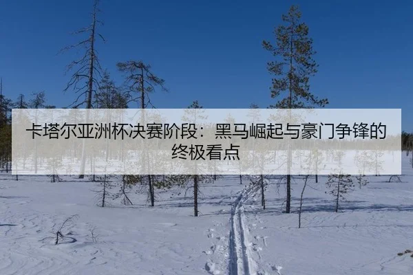 卡塔尔亚洲杯决赛阶段：黑马崛起与豪门争锋的终极看点