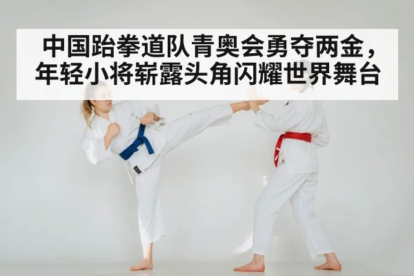 taekwondo training