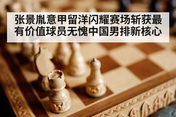 张景胤意甲留洋闪耀赛场斩获最有价值球员无愧中国男排新核心